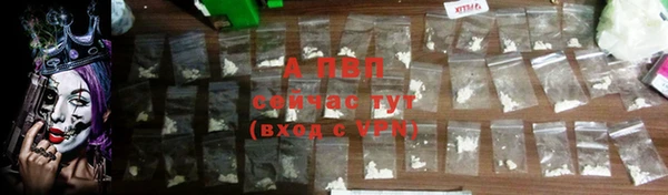 прущие крисы Вязьма