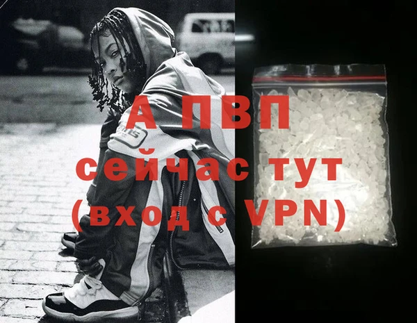 прущие крисы Вязьма