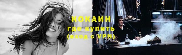 прущие крисы Вязьма