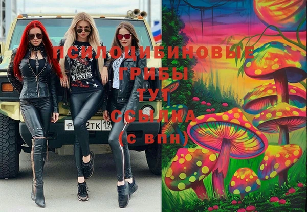 прущие крисы Вязьма