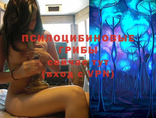 прущие крисы Вязьма