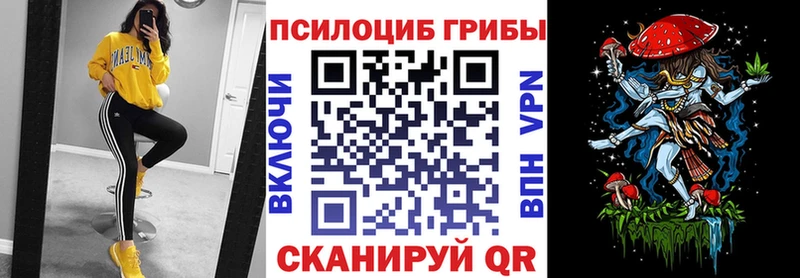 Галлюциногенные грибы GOLDEN TEACHER  Димитровград 